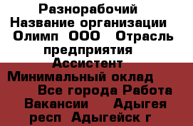 Разнорабочий › Название организации ­ Олимп, ООО › Отрасль предприятия ­ Ассистент › Минимальный оклад ­ 25 000 - Все города Работа » Вакансии   . Адыгея респ.,Адыгейск г.